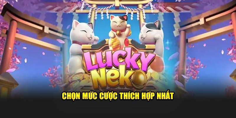 Chọn mức cược thích hợp nhất