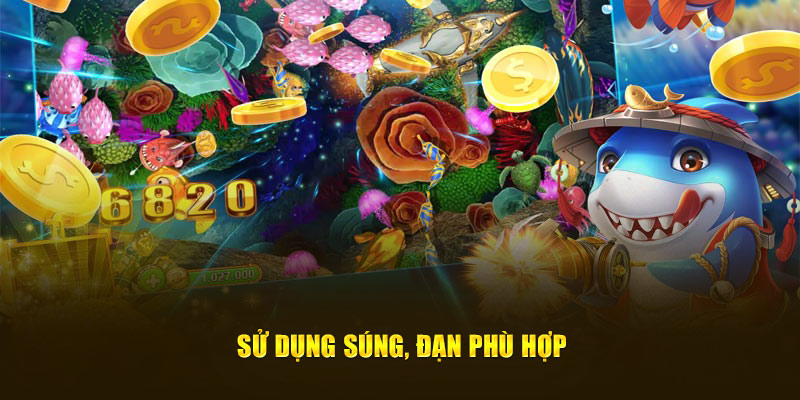 Sử dụng súng, đạn phù hợp 