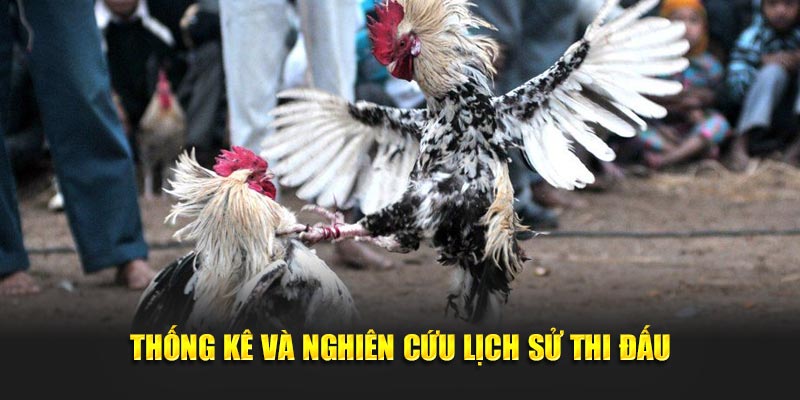 Thống kê và nghiên cứu lịch sử thi đấu