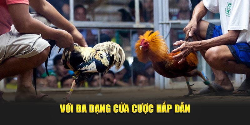 Với đa dạng cửa cược hấp dẫn